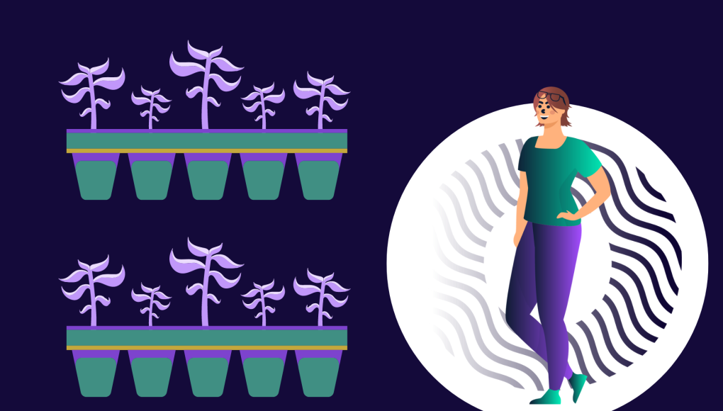 Plant Nursery